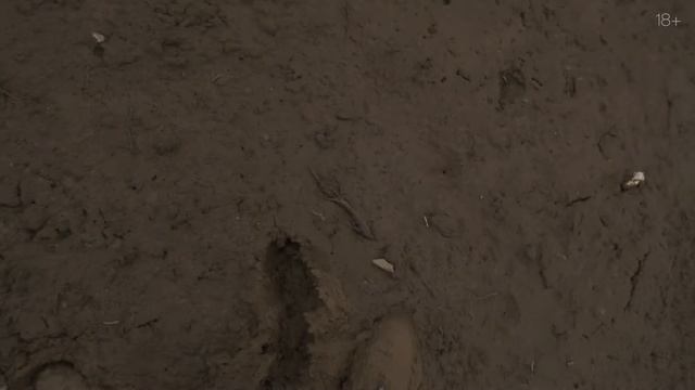 Новый Defender против глины смотреть онлайн