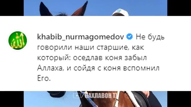 Чавоби Хабиб ба Рамзан Кадыров смотреть онлайн