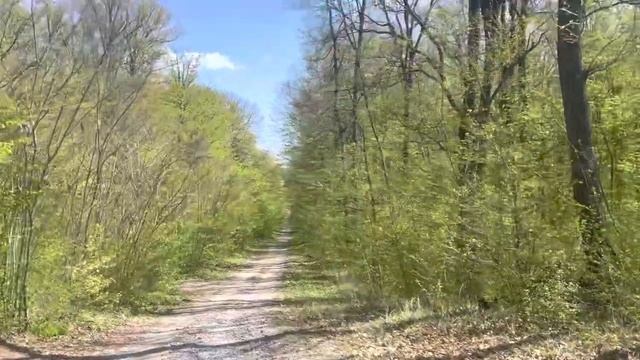 Пушистые Герои Дня