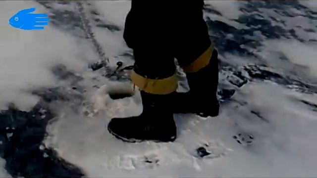 Roman_vs_Shchuka-=).avi смотреть онлайн