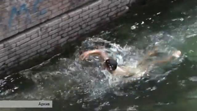 А что у вас? Художница Инна Федорова - 28 октября 2016 смотреть онлайн