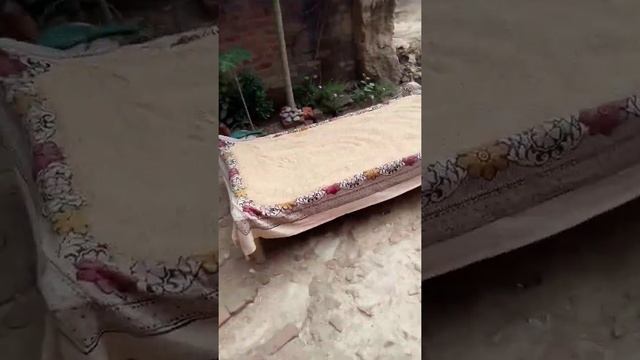 dream Village ,,, смотреть онлайн