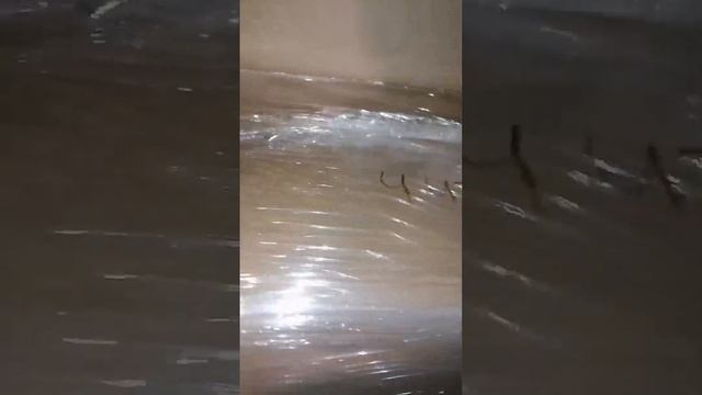 Дискусы. Много отправок , Чита ,Челябинск, Новосибирск.