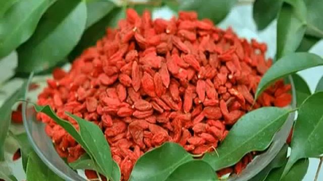 крем из ягод годжи купить