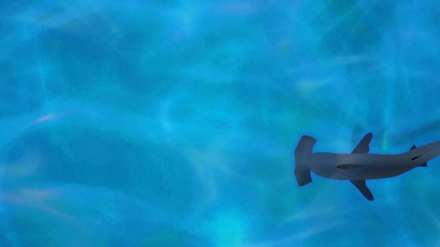 game for cats swim fish - игра для кошек плавать рыба смотреть онлайн