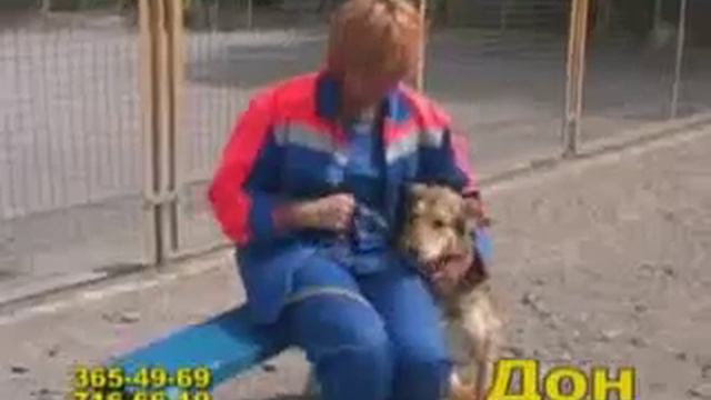 Дон смотреть онлайн
