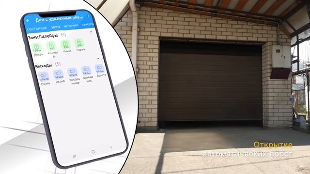 Сократ Чита приложение финал