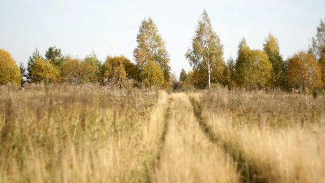 Золотая осень смотреть онлайн