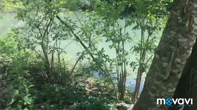 Страусиное ранчо * Отель Гуамка*Озеро* смотреть онлайн