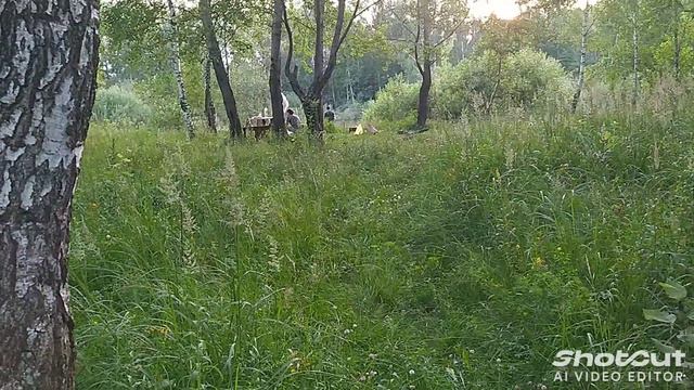 ВЛОГ басик в деревне смотреть онлайн