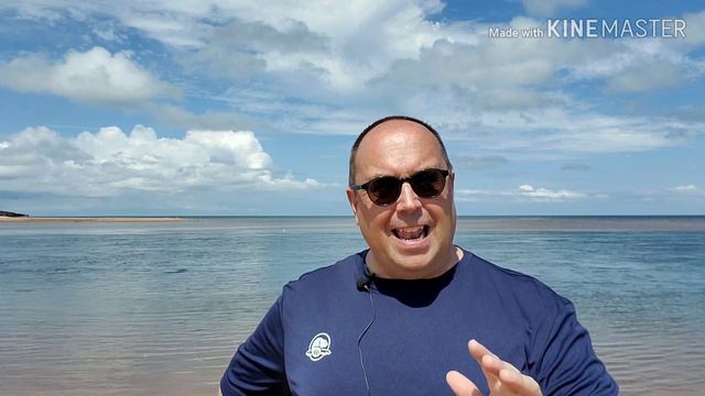 ielts listening test : ielts practice about I can't swim смотреть онлайн
