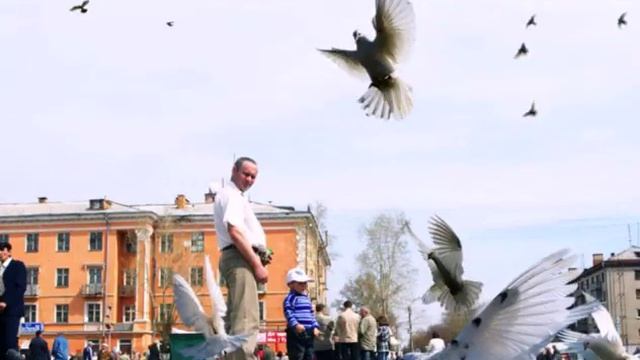 Это город Рубцовск.avi смотреть онлайн