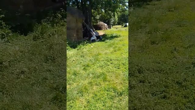 Заготовка сена.Огородные работы.Молочный пирог украсила ягодами и кремом.