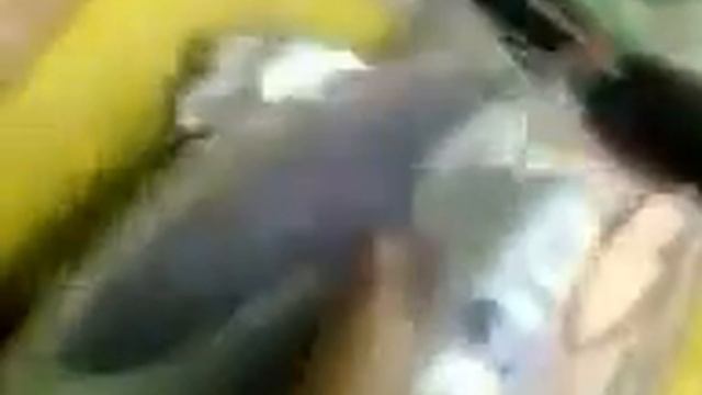 Как быстро разогреть бутерброды) ахха. Утюг ахаха смотреть онлайн