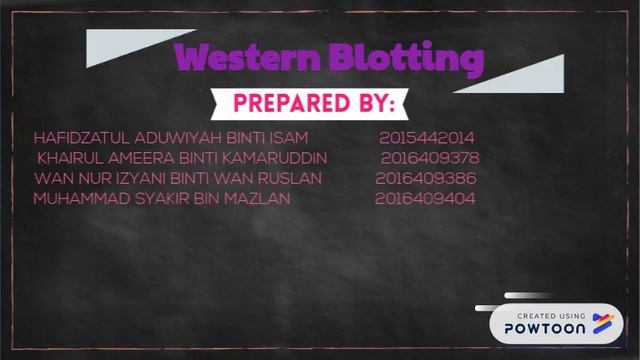 WESTERN BLOT смотреть онлайн