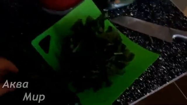 Растительный корм смотреть онлайн