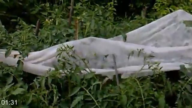 Мамина дача на Галичном смотреть онлайн