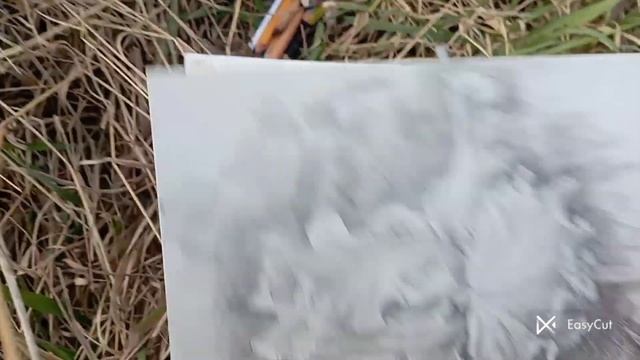 Рисую красивую природу карандашом, где живут кабаны, змеи и клещи) смотреть онлайн