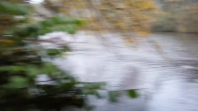 Выходной день на природе. смотреть онлайн