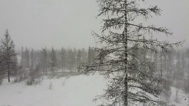 Winter came in October. Russia Siberia Новый Уренгой Зима пришла Offroad Skoda Yeti Haldex 4 TSI смотреть онлайн