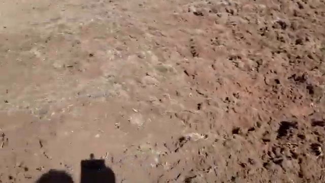 22.04.2022 фрезеруем целину китайским культиватором Псковская обл смотреть онлайн