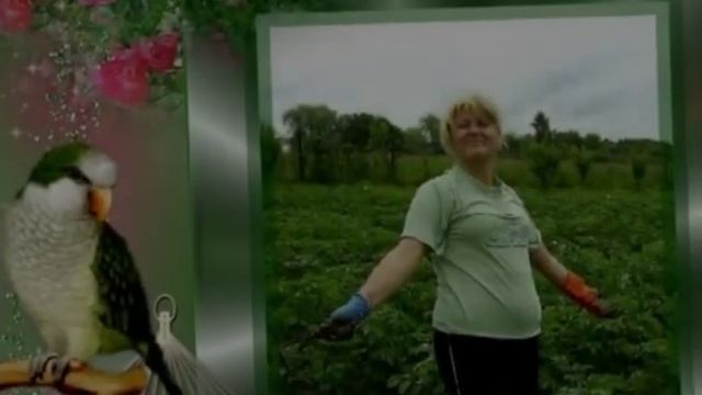 слайд шоу на юбилей маме 55 лет смотреть онлайн