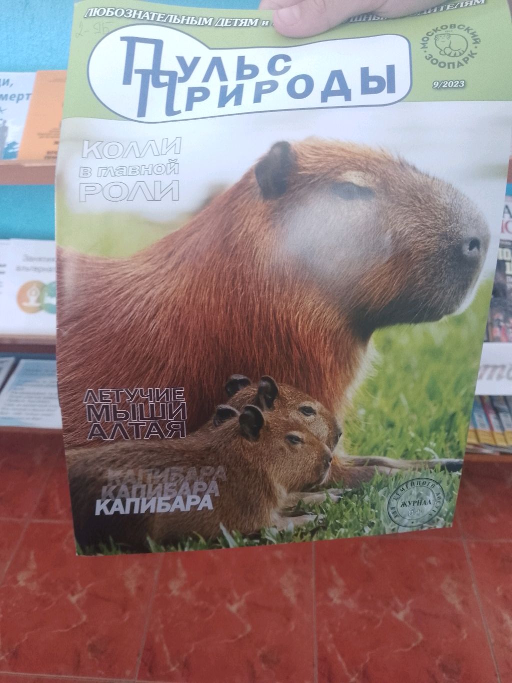 стант велике смотреть онлайн