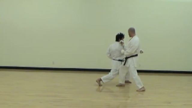 JKA Karate | Shotokan | WKF | Learn Karate смотреть онлайн