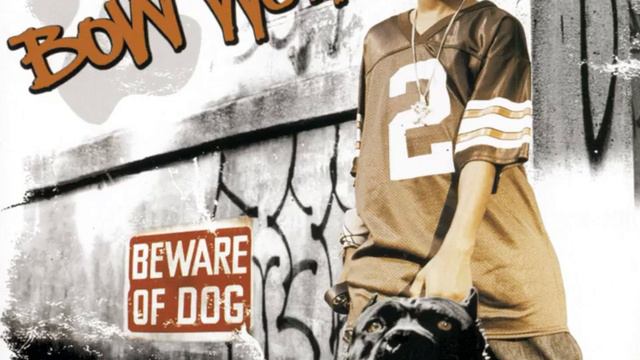 Bow Wow (That's My Name) смотреть онлайн