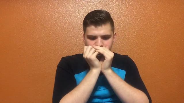 (Гусли 206)#409 О Дивный День-harmonica G смотреть онлайн