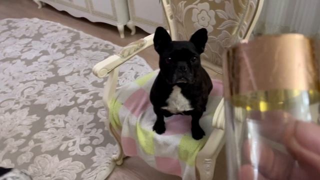 ? Суп Фантазия Дока и гости сада