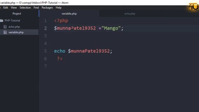 PHP variables and Type смотреть онлайн