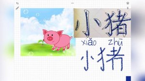 Китайский язык. Название животных. Иероглифы.