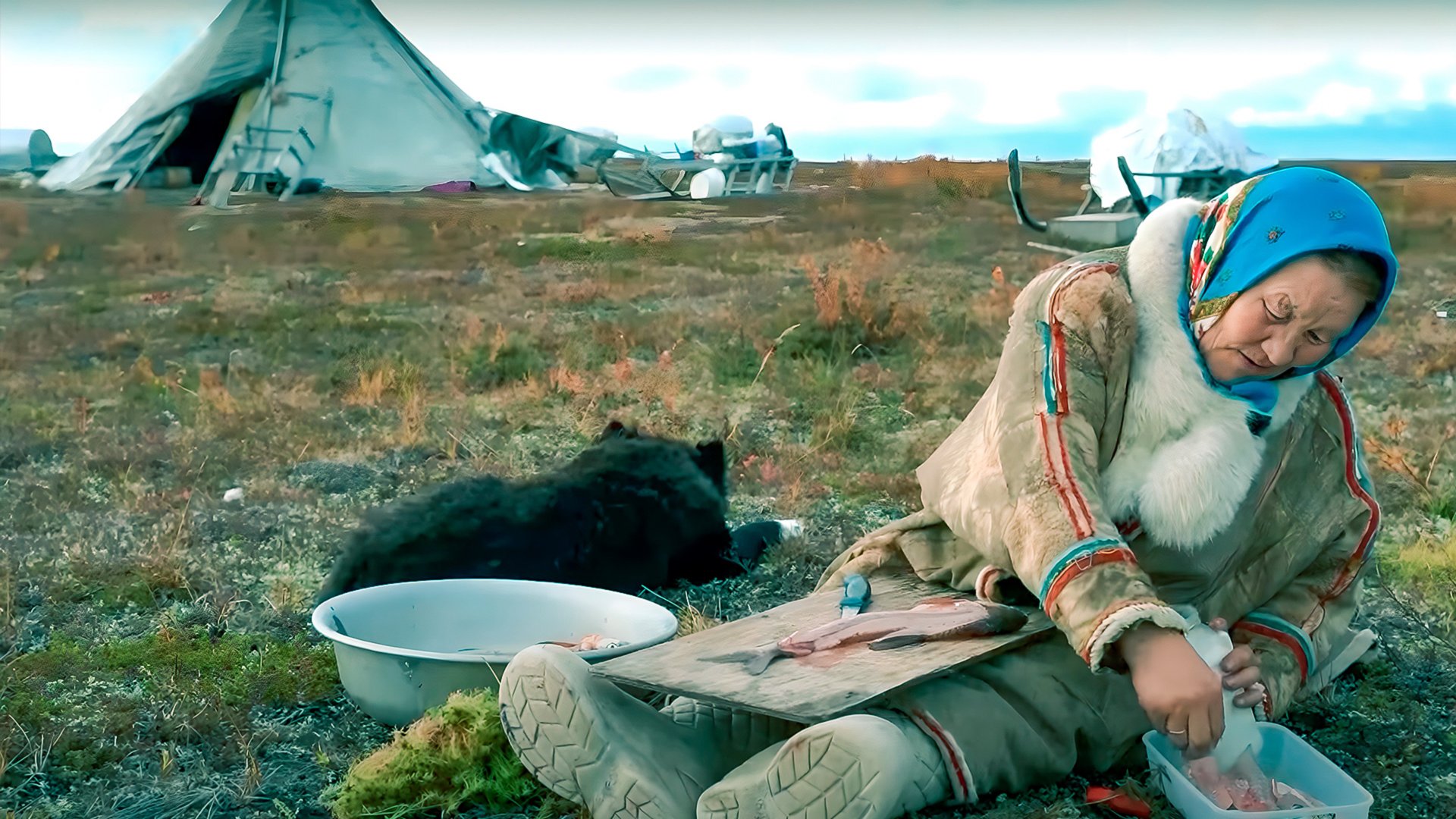 Почему ненцы не едят сырую щуку | Факты смотреть онлайн