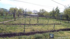 Весна шагает по Кубани