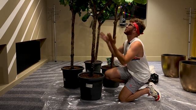 ОЗЕЛЕНЕНИЕ В ОТЕЛЕ RADISSON BLU НАЧАЛО... смотреть онлайн