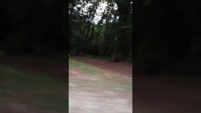 джиппинг Лоо водитель Сергей А.