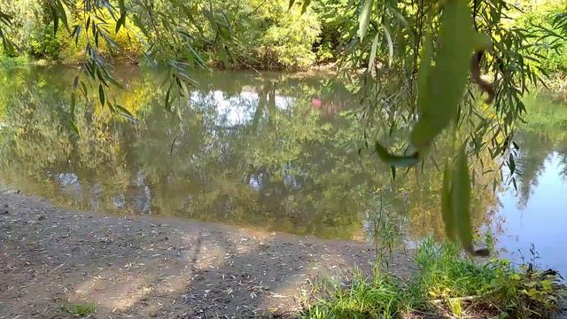 Природа подмосковья Река Воря Звуки природы смотреть онлайн