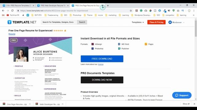 Download 100+ Free Resume Templates in Microsoft Word смотреть онлайн