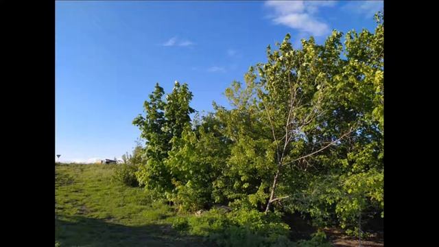 29 июня/Народный праздник ТИХОНОВ ДЕНЬ/Зачем девки голышом бегали смотреть онлайн