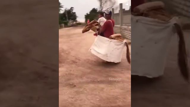 Отец года смотреть онлайн