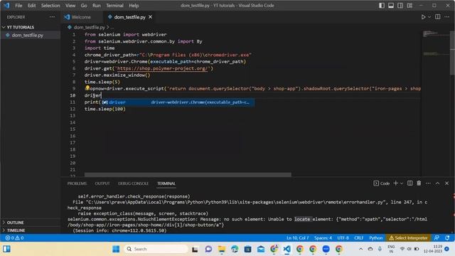 Interacting with web elements under ShadowRoot using python selenium #selenium #python #DOM #shadow смотреть онлайн
