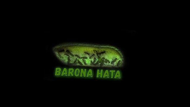 КАК Я ПЕРЕВОЗИЛ МУРАВЬЕВ.... смотреть онлайн