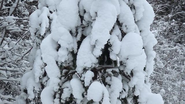 С Новым годом! С Рождеством! ( декабрь - 2022 ) смотреть онлайн