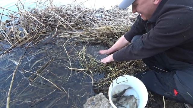 РЫБАЛКА РУКАМИ . Карась. Карп. Сазан смотреть онлайн