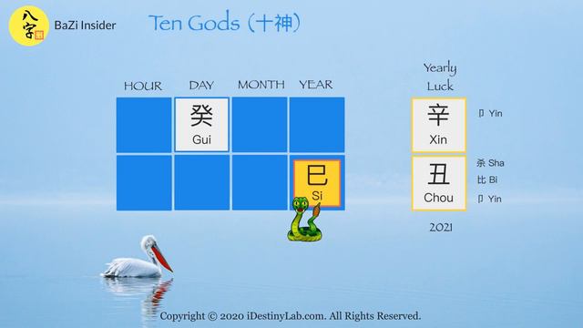 Metal OX 2021 Forecast | GUI Water (癸水) + SNAKE (巳) BaZi Sensing смотреть онлайн