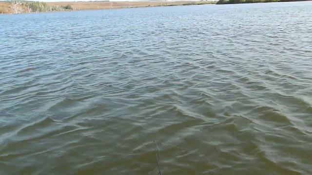 Дед щукарь смотреть онлайн