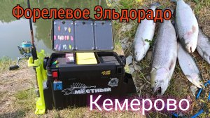 Рыбалка в Кузбассе. ФОРЕЛЬ СОШЛА С УМА. Жаркий июнь