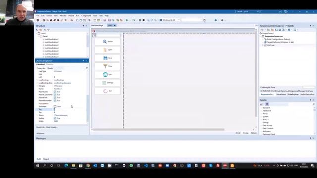 Visual Responsive Design with Delphi: Live webinar replay смотреть онлайн