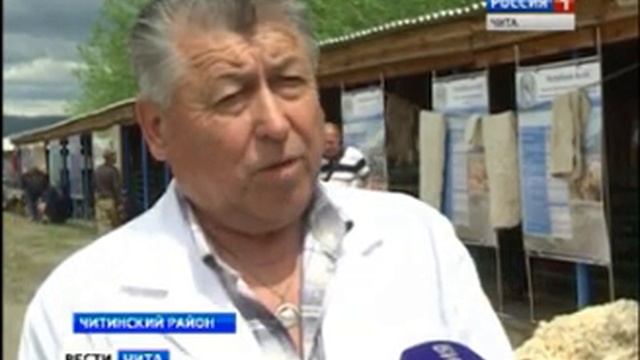 классировка шерсти смотреть онлайн